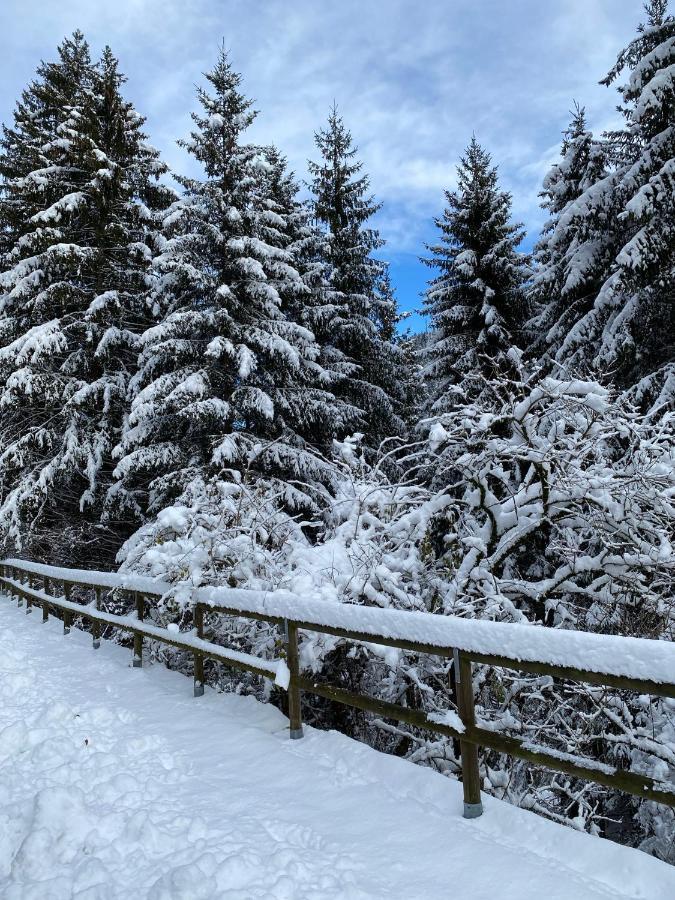 Enrosadira Lägenhet Molveno Exteriör bild