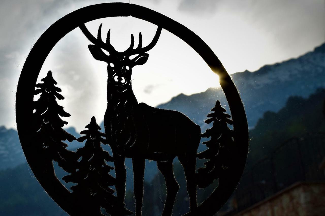 Enrosadira Lägenhet Molveno Exteriör bild